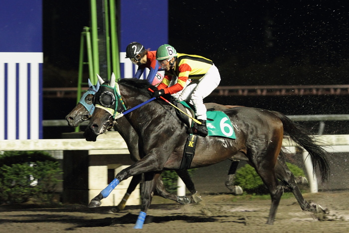 2010年7月4日（日） 高知競馬 10R 一発逆転 ファイナルレース B-4 記者選抜_a0077663_19192735.jpg