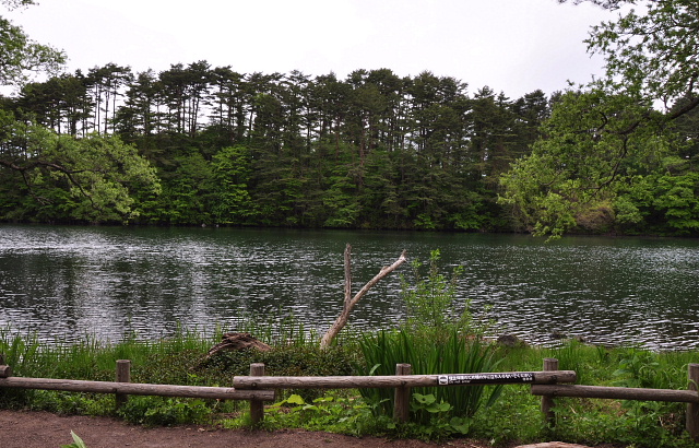 裏磐梯五色沼湖沼群・・・青沼~終点の柳沼まで_b0053765_15103794.jpg