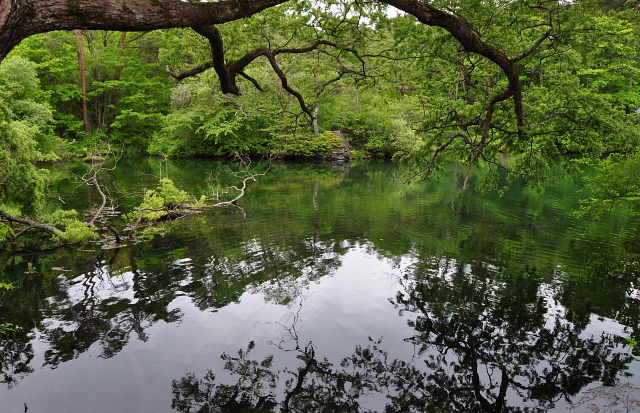 裏磐梯五色沼湖沼群・・・青沼~終点の柳沼まで_b0053765_1515120.jpg