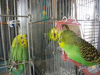 f0196665_04657.jpg