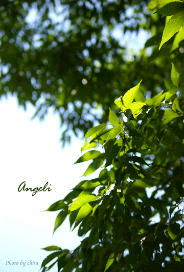 f0227975_1462256.gif
