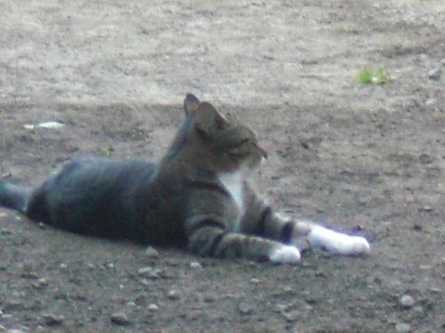 b0157276_22473670.jpg
