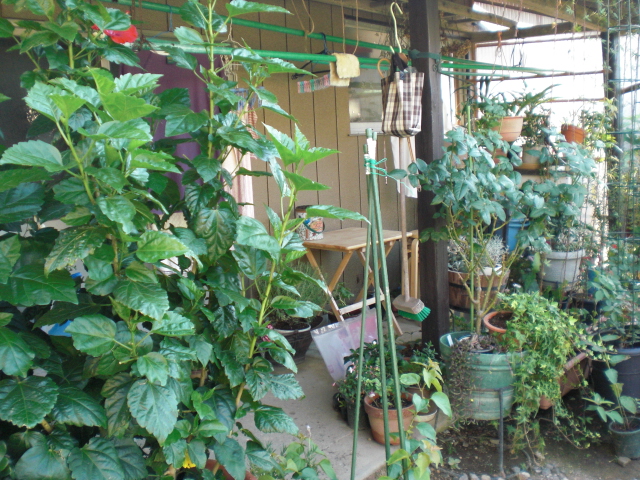 b0157276_2313075.jpg