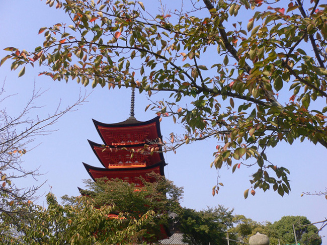 豊国神社 五重塔_d0182981_18213343.jpg