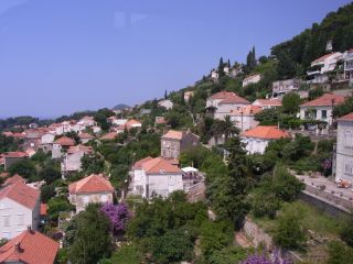 f0169885_60320.jpg