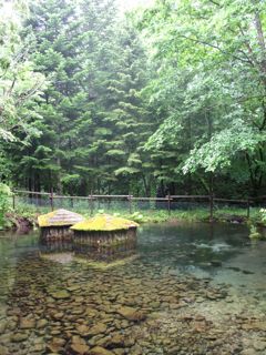 夏休みありがとうございました! _c0204289_23245412.jpg