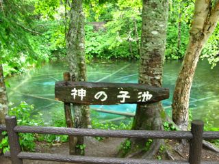 夏休みありがとうございました! _c0204289_23462141.jpg