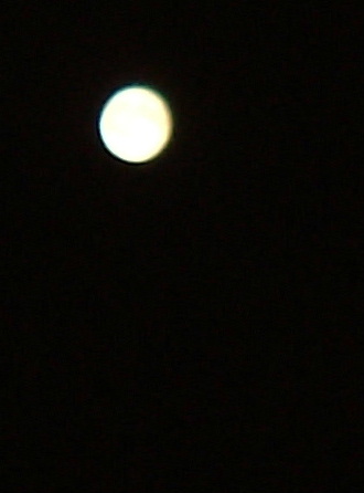 f0215591_23105448.jpg