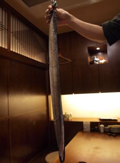 土用の丑の日_f0232994_5372770.jpg