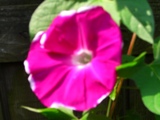 d0072395_164309.jpg
