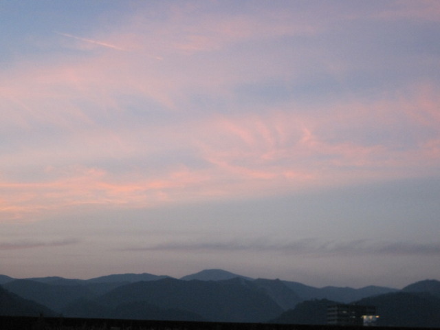 a0167896_23475836.jpg