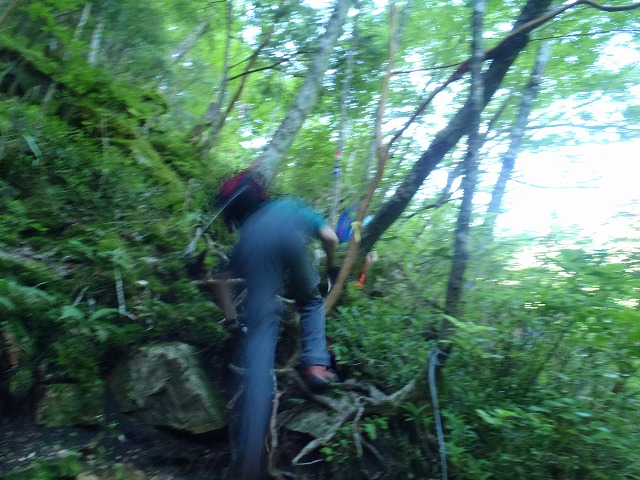 c0147398_21431430.jpg