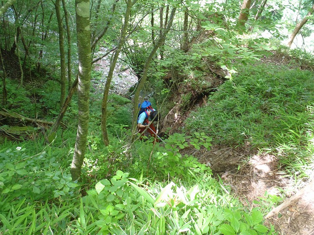 c0147398_21454887.jpg
