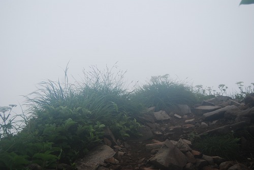 焼石岳_c0124100_2329263.jpg