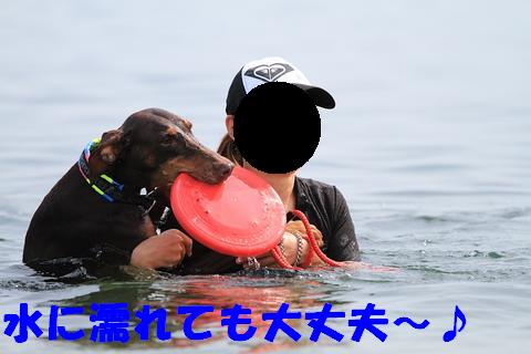 お気に入り～♪(o^∇^o)_e0100007_1495254.jpg