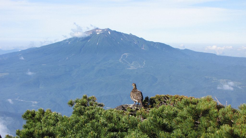 2010夏山　乗鞍岳（登山編）　７_c0036317_2502346.jpg