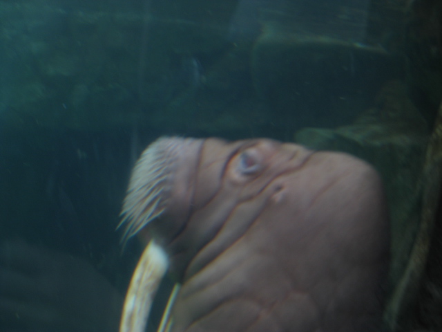 d0143729_026117.jpg