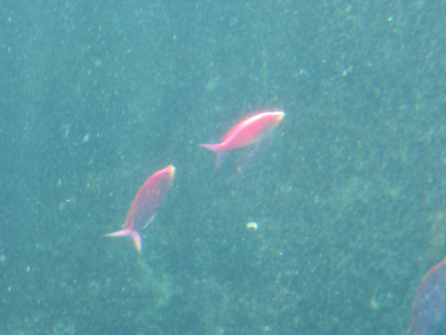 d0143729_0271315.jpg