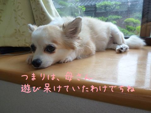 b0138430_20235142.jpg