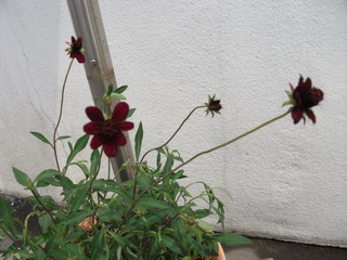 a0153832_21212046.jpg