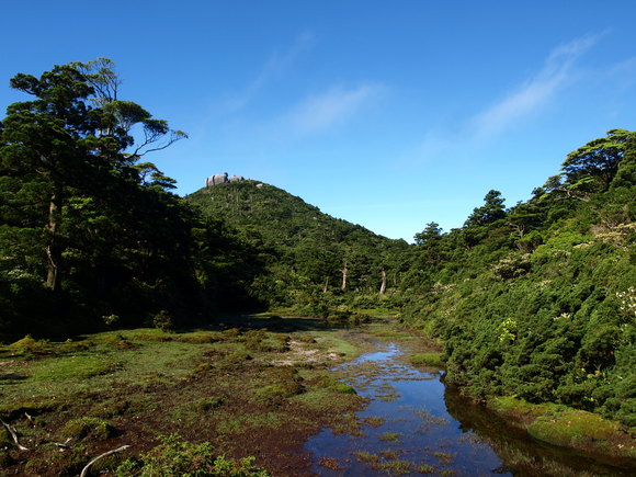 屋久島紀行　2010　三日目　宮之浦登山　①　淀川登山口～花之江河_d0137443_2338354.jpg