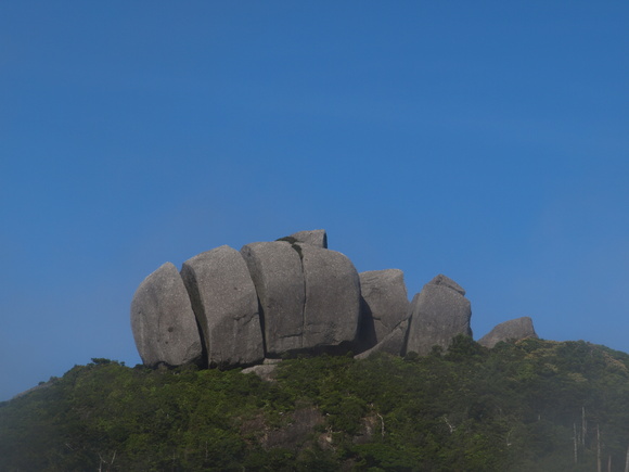 屋久島紀行　2010　三日目　宮之浦登山　①　淀川登山口～花之江河_d0137443_2354427.jpg