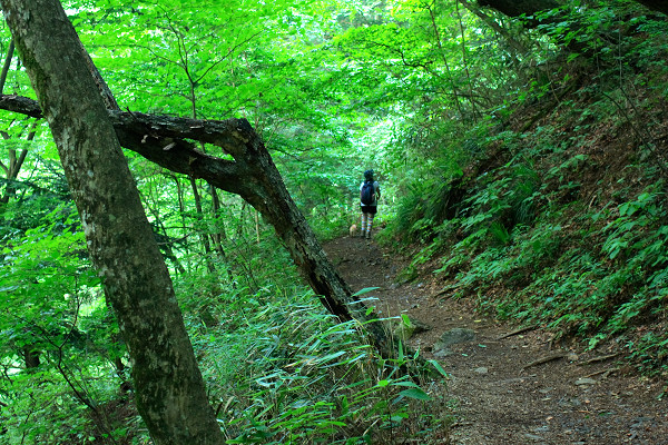 c0228945_6224215.jpg
