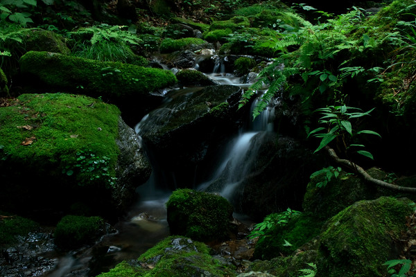 c0228945_6511678.jpg