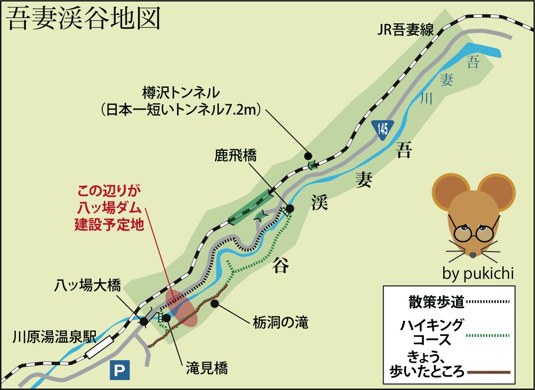 吾妻渓谷遊歩道は心が折れるハイキングコース（東吾妻町）_c0141253_21525494.jpg