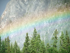 f0228053_91501.jpg