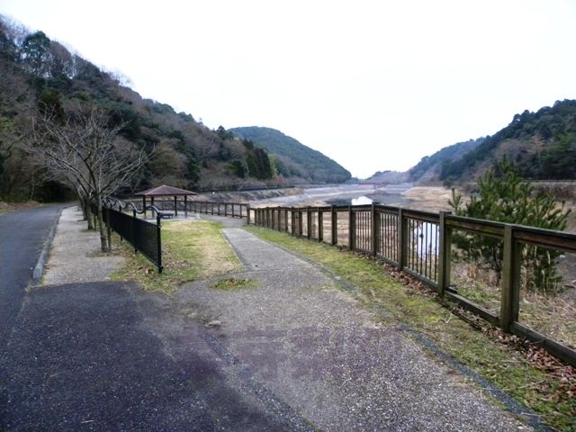 新滝の池（大阪府泉佐野市上之郷）　2010年2月9日_e0178757_21483169.jpg