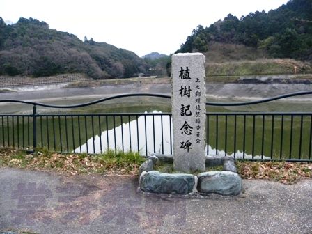 新滝の池（大阪府泉佐野市上之郷）　2010年2月9日_e0178757_2152396.jpg