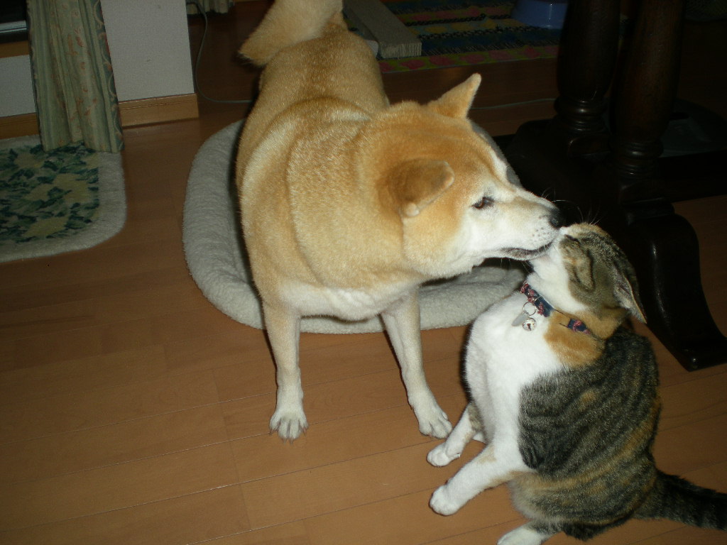 2010年7月28日(水)夏は根性なの~!_f0060461_8312759.jpg