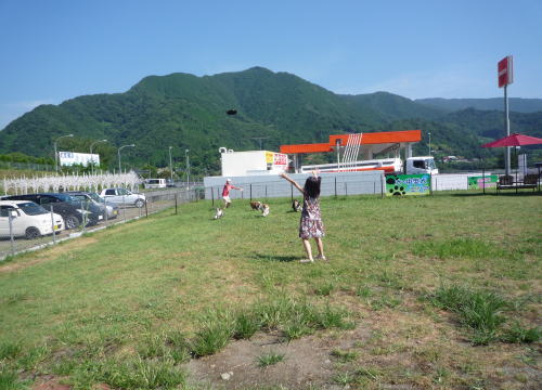 なんでそんなに・・・_f0126965_14371223.jpg