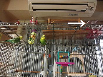 f0196665_01012.jpg
