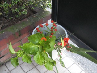 f0088569_659950.jpg