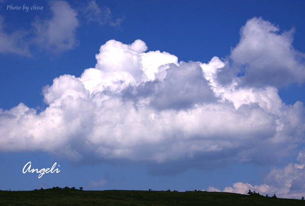 f0227975_10454981.gif