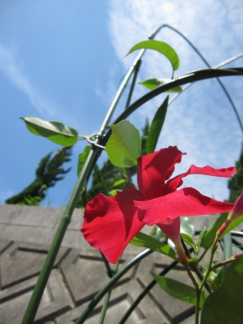 b0182884_17582227.jpg