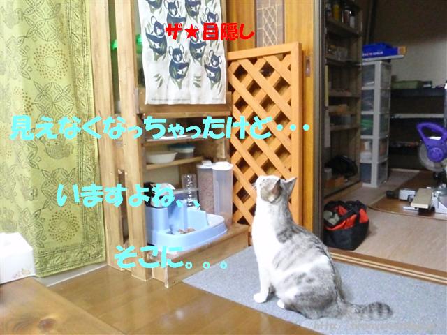 a0159490_11332160.jpg