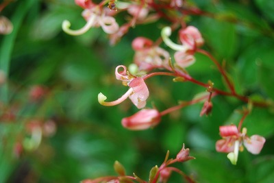 c0124100_23205388.jpg