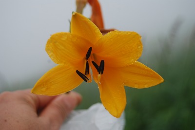 c0124100_232179.jpg