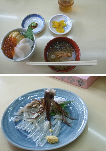 海の妖精 クリオネ 野草デジカメ日記
