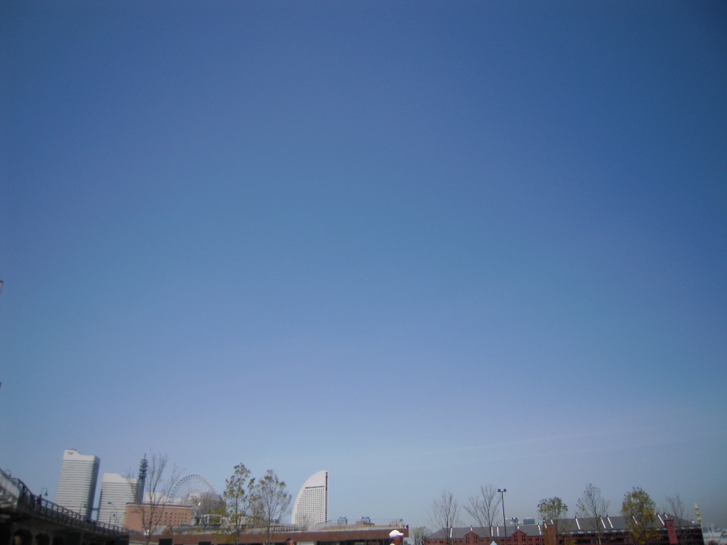c0132608_17395431.jpg