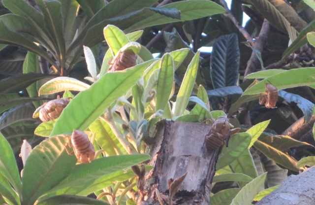 f0231709_20255469.jpg