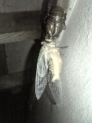 f0231709_2046228.jpg