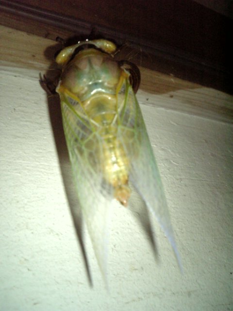 f0231709_20521361.jpg