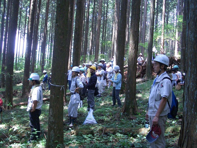 富士ひのきの森林認証林で「木こりツアー」_f0141310_512950.jpg