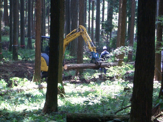 富士ひのきの森林認証林で「木こりツアー」_f0141310_524812.jpg