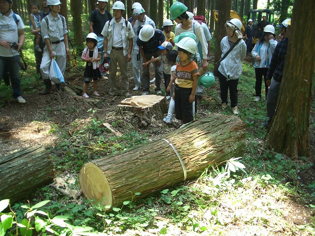 富士ひのきの森林認証林で「木こりツアー」_f0141310_53958.jpg