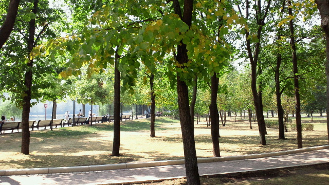 a0151913_21554857.jpg